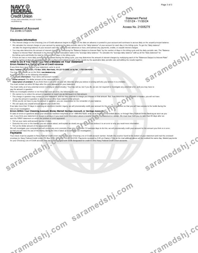 USA Navy Federal bank statement, 3 pages 2